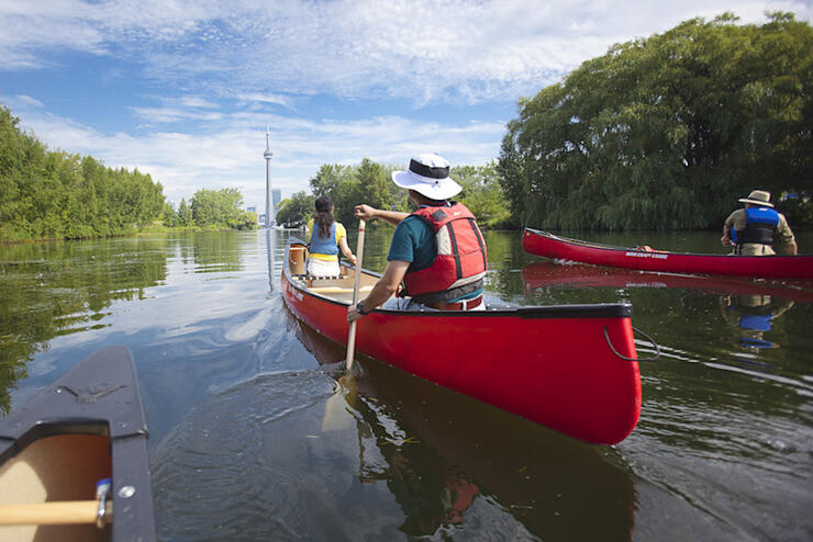 People in canoes with CN Tower in the distance