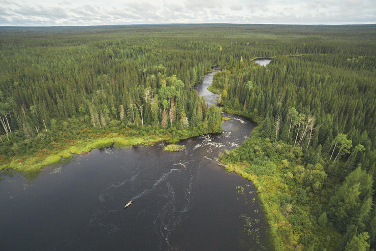 Overhead view of canoe entering a lake from a narrow river.