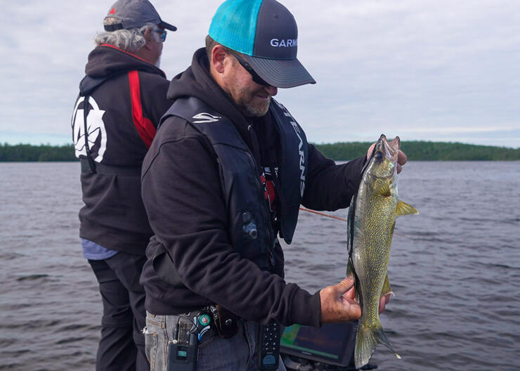 walleye