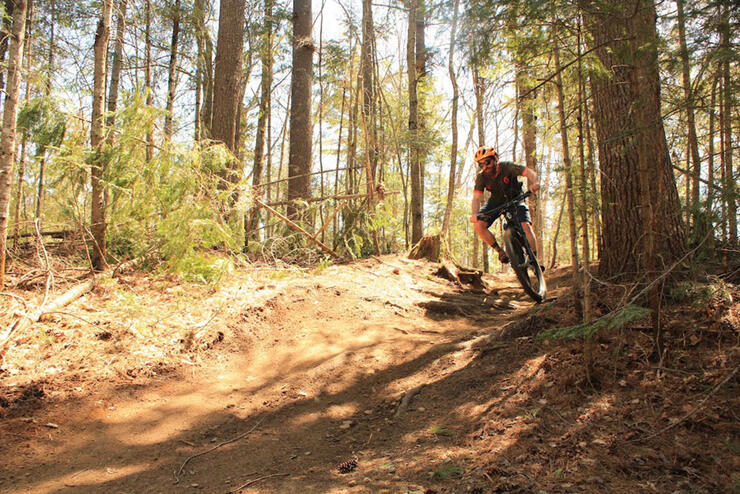 Reg Peer cycling through a forest