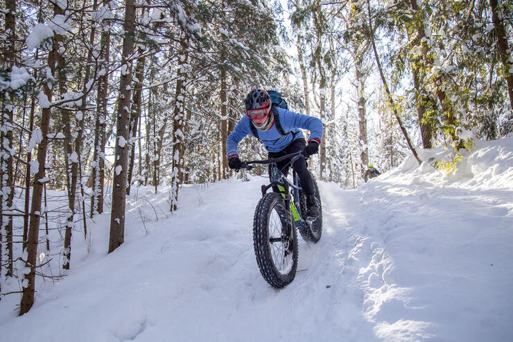Man on fat tire bike cycling down a snow-covered hill in a forest.