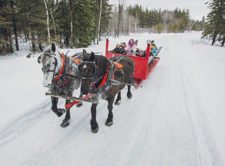 two horses pulling a red sleigh with lots of kids on it.