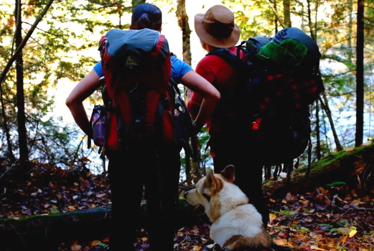 Two hikers carrying small backpacks looking into forest
