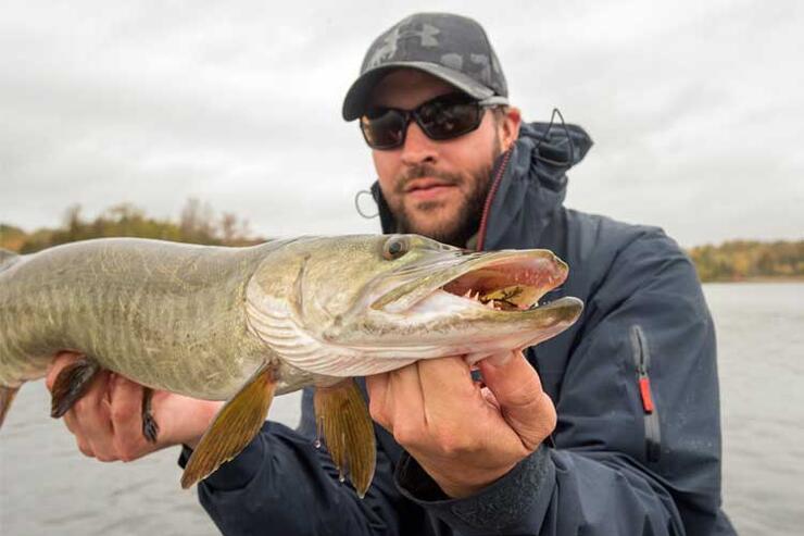 angler holding ontario muskie