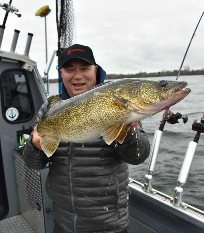 bay of quinte walleye