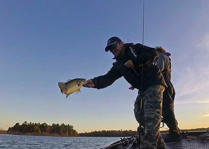 pete bowman release bass