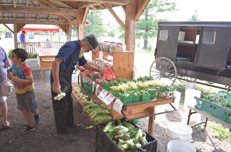 mennonite farmer at a produce stall