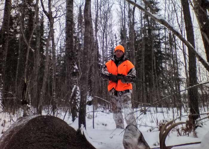 harvested whitetail deer