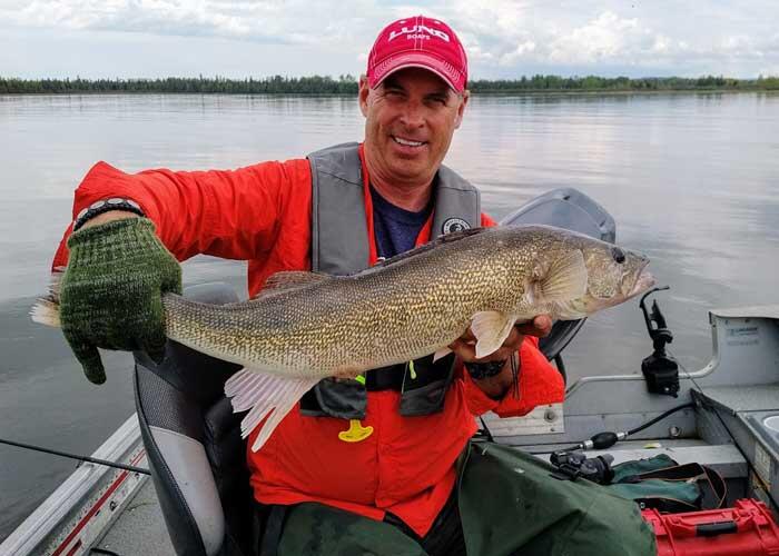 angler holding ontario walleye