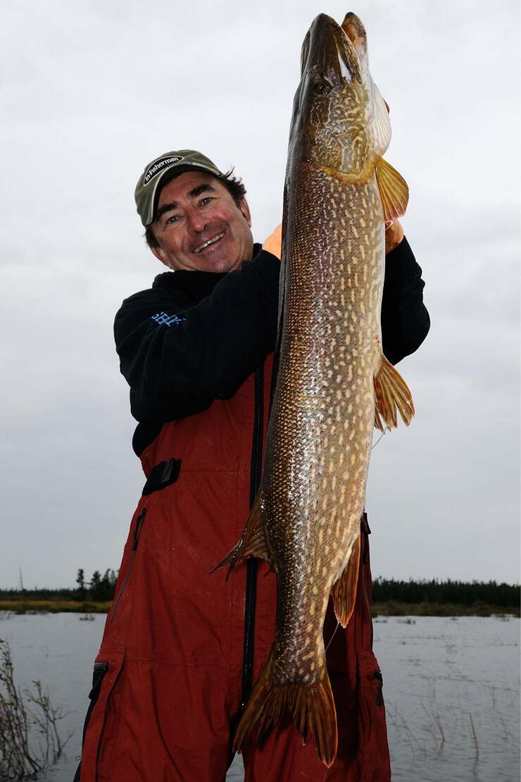 angler holding northern pike