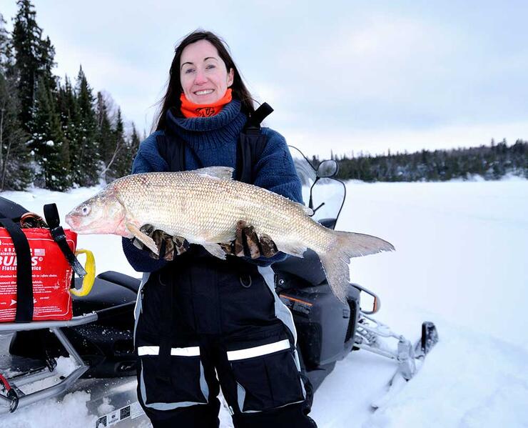 angler ice fishing whitefish