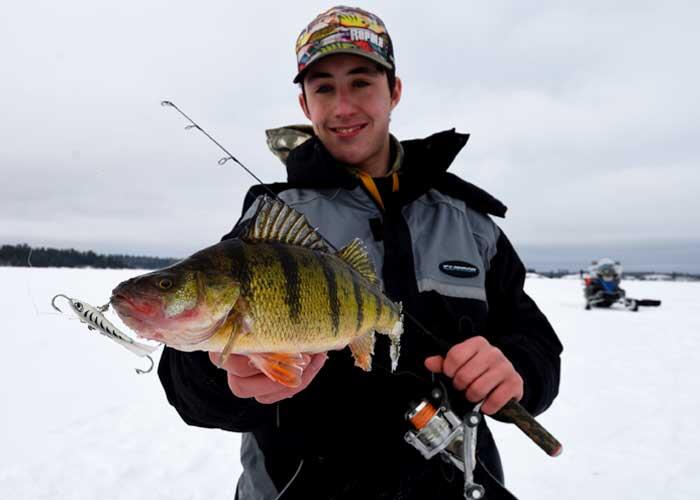 young ice angler holding perch
