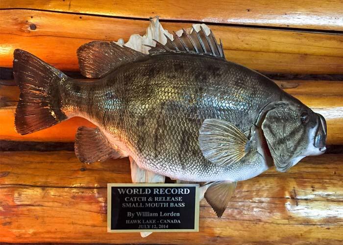 record smallmouth bass