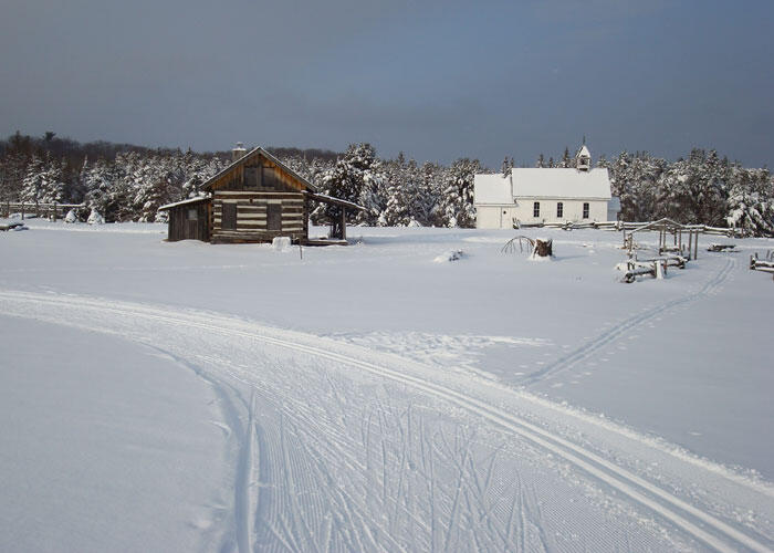 mockingbird hill farm