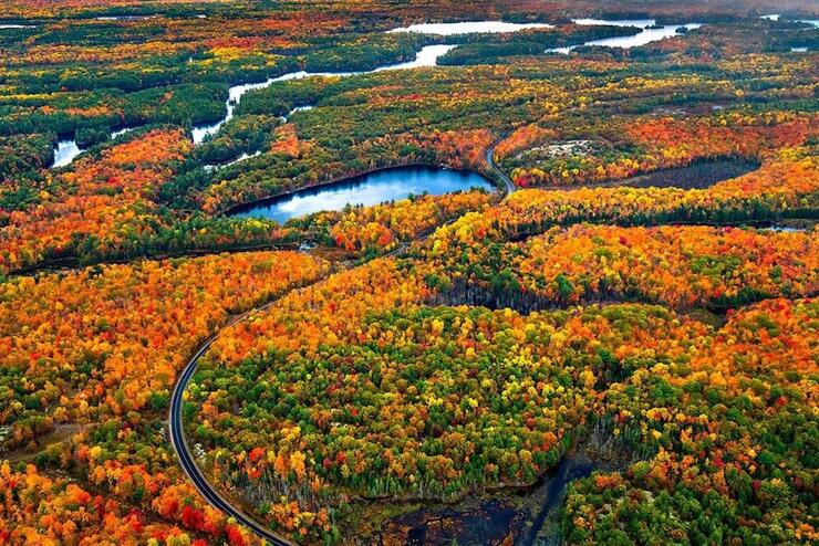 Overhead view of fall colours and lakes