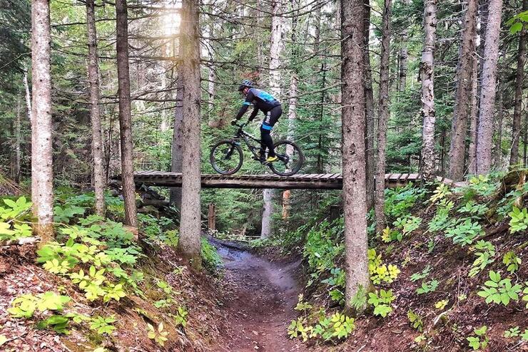 Person on bike riding over bridge in forest