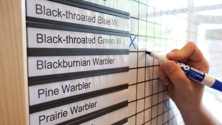 Person marking off birds they have seen on a white board
