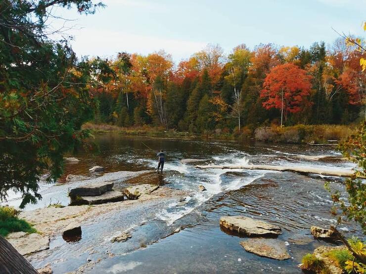 Someone standing in river fishing in fall.