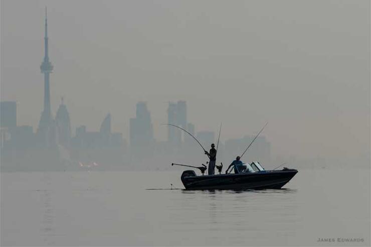 toronto skyline