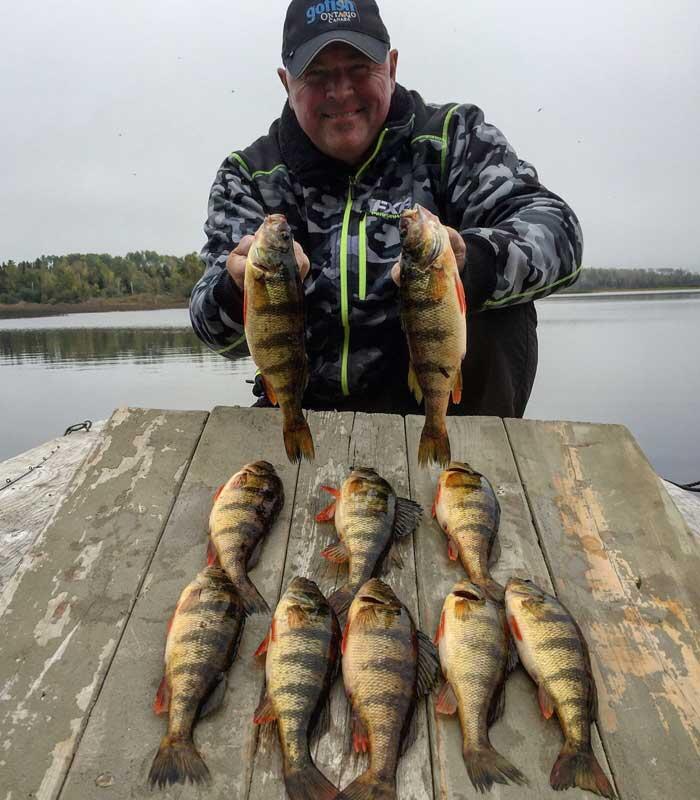 chapleau river perch