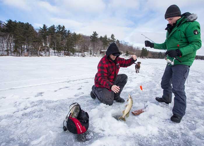 northern pike