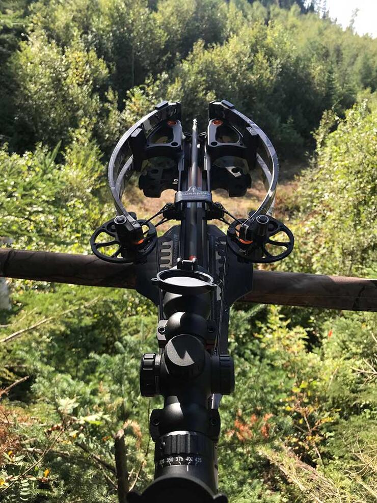 view from bear stand with cross bow