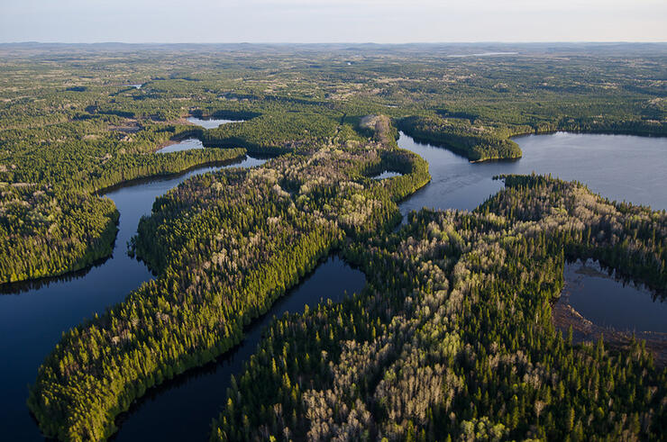 ontario-fly-in-fishing-3