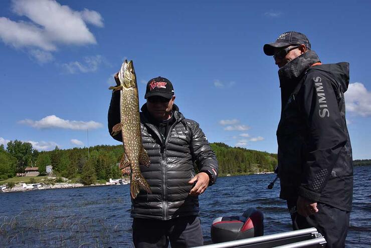 pike fishing on winnipeg river system