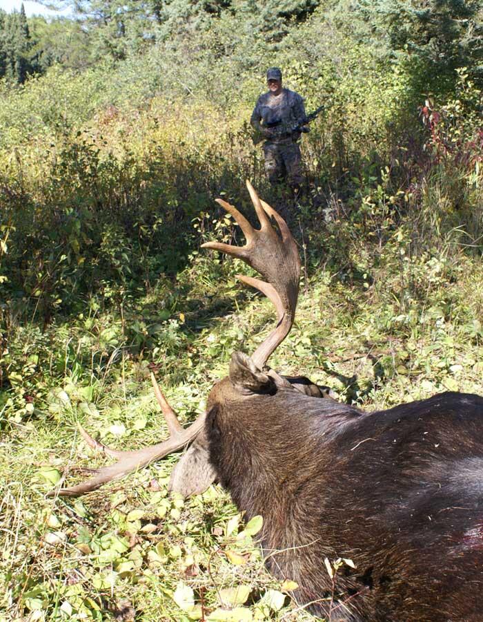 hunter with harvested moose