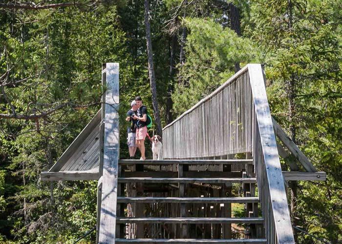 aubrey falls viewing bridge