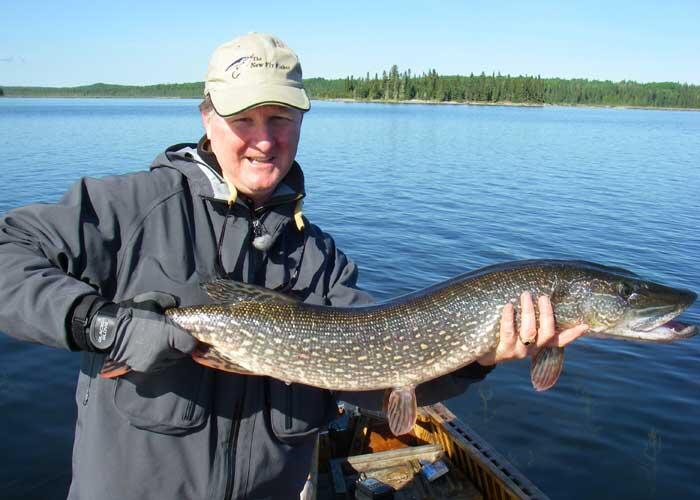 angler holding northern pike