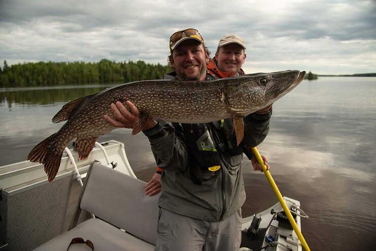 two anglers with northern pike